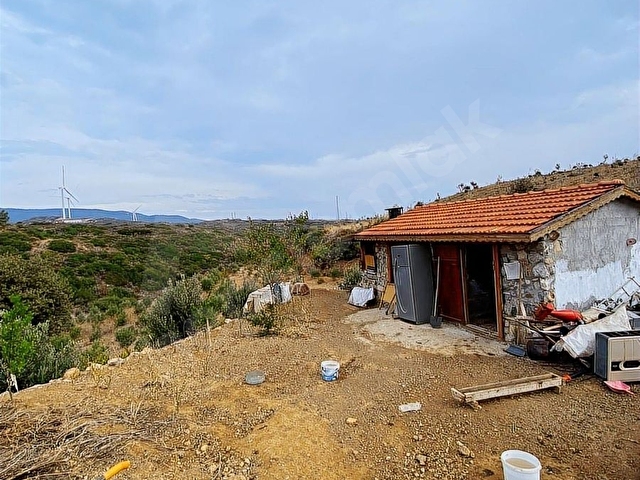 REŞADİYE MAHALLESİNDE BAKIMLI ÇİFTLİK ARAZİSİ VE ÇİFTLİK EVİ - Görsel 10