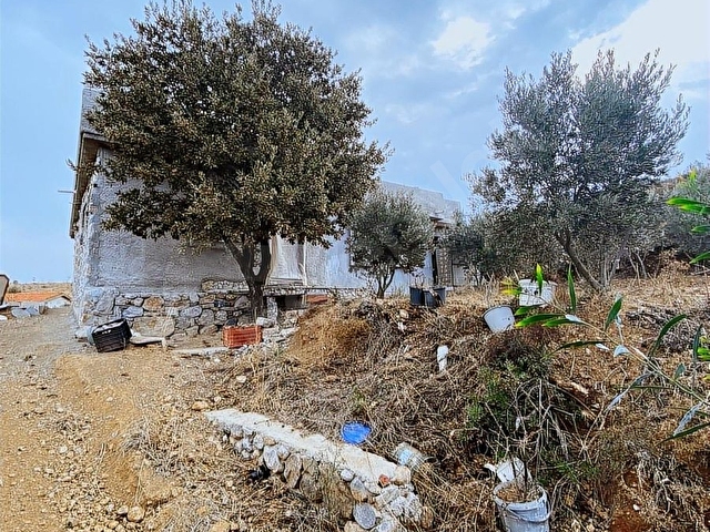 REŞADİYE MAHALLESİNDE BAKIMLI ÇİFTLİK ARAZİSİ VE ÇİFTLİK EVİ - Görsel 21