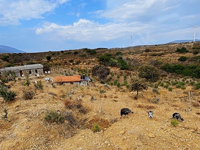 REŞADİYE MAHALLESİNDE BAKIMLI ÇİFTLİK ARAZİSİ VE ÇİFTLİK EVİ - Görsel 18