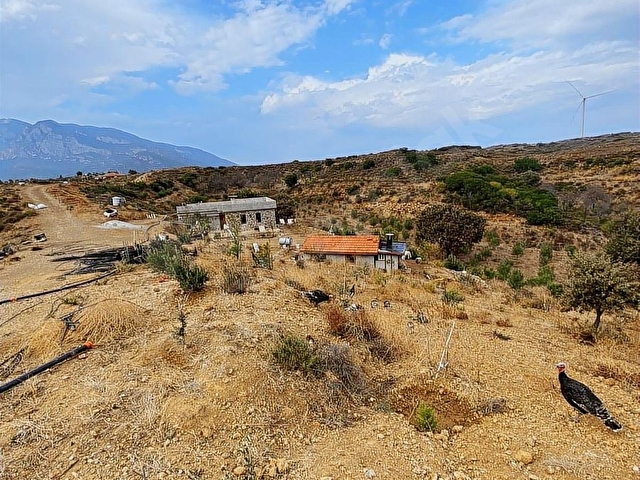 REŞADİYE MAHALLESİNDE BAKIMLI ÇİFTLİK ARAZİSİ VE ÇİFTLİK EVİ - Görsel 23