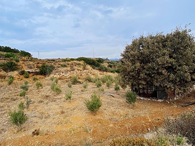 REŞADİYE MAHALLESİNDE BAKIMLI ÇİFTLİK ARAZİSİ VE ÇİFTLİK EVİ - Görsel 3