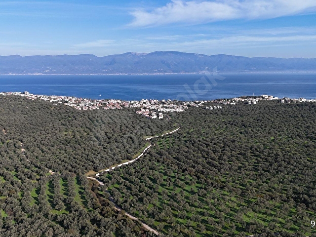 BAŞAK EMLAKTAN 101 m2 YOL CEPHELİ ZEYTİNLİK SAHİLE 1.5 KM - Görsel 14