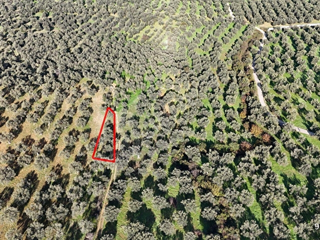 BAŞAK EMLAKTAN 101 m2 YOL CEPHELİ ZEYTİNLİK SAHİLE 1.5 KM - Görsel 10