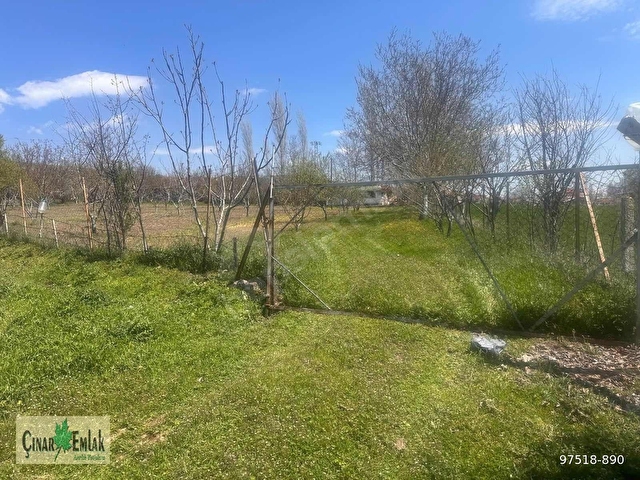 ÇINAR EMLAKTAN SATILIK TARLA-ARAZİ - Görsel 3