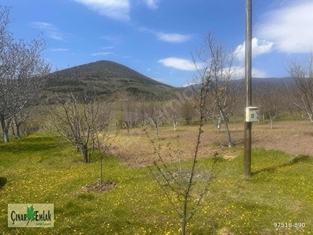 ÇINAR EMLAKTAN SATILIK TARLA-ARAZİ - Görsel 5