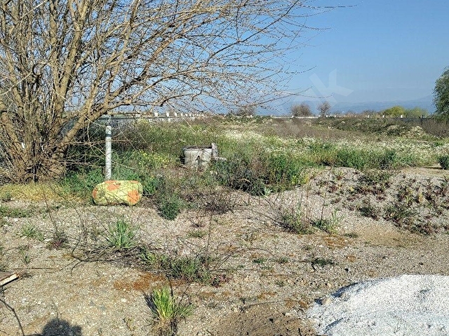 İhtişam Emlaktan Umurluda Ana Cadde Üzeri İşletme Yapmaya Uygun Satılık Tarla - Görsel 13