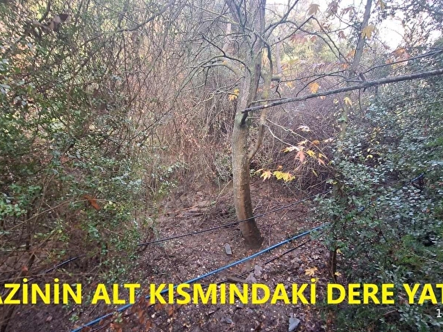 Karakoç EMLAKtan BAYINDIR Kızılcaovada 2.600 m2 ZEYTİNLİK - Görsel 9