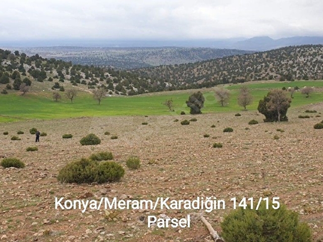 SAHİBİNDEN KOMİSYONSUZ KARADİĞİNDE SATILIK 7800m² TARLA - Görsel 3