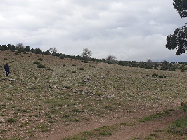 SAHİBİNDEN KOMİSYONSUZ KARADİĞİNDE SATILIK 7800m² TARLA - Görsel 8