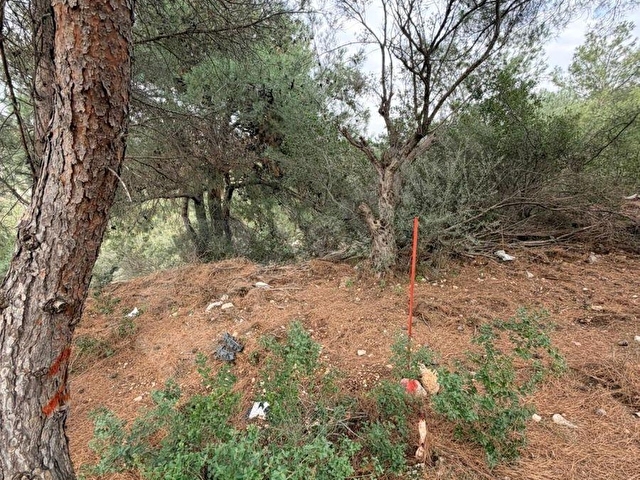 Bucanın Kalbinde Satılık  Eşsiz Arazi Tek Tapu ESNAFOĞLUndan... - Görsel 18