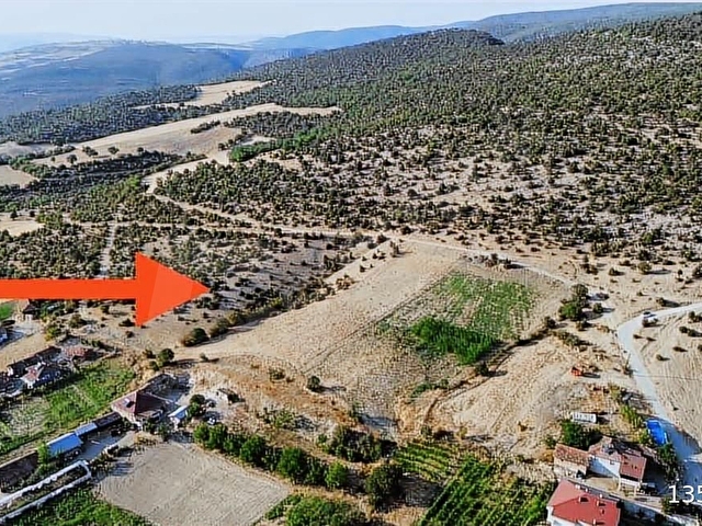 EMİNELLER EMLAK YAKUP ÇALIŞKANDAN TARLA YATIRIMK EV YAPILIR - Görsel 3