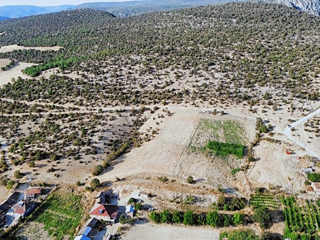 EMİNELLER EMLAK YAKUP ÇALIŞKANDAN TARLA YATIRIMK EV YAPILIR - Görsel 11