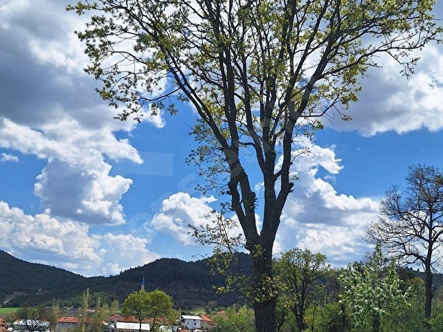 BURDUR AĞLASUN KİBRİT KÖYÜNDE SATILIK KERPİÇ EV VE TARLA - Görsel 23