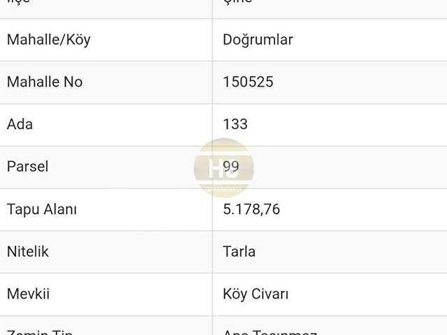HBden Satılık Tarla, Aydın Muğla Asfaltına Geniş Yol Cepheli/Mükemmel Yatırım Fırsatı - Görsel 14