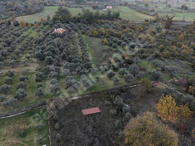 Muğla menteşe yenice mahallesi satılık 647 m2 tarla - Görsel 3