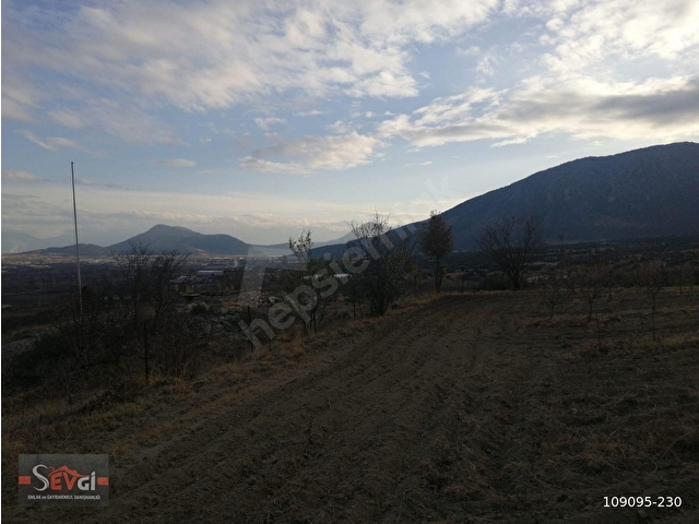 ELMALI YILIMAZLI GORTANDA KADASTRAL YOLA SIFIR, 600 ADET AĞAÇLI 7800 m² 2 ADET TARLA SATILIKTIR - Görsel 19
