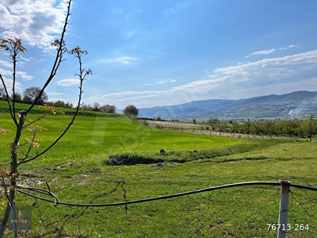 KÖMEÇ KÖYÜ İÇİNDE SATILIK 7000 m2 TARLA - Görsel 6