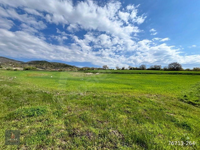 KÖMEÇ KÖYÜ İÇİNDE SATILIK 7000 m2 TARLA - Görsel 7