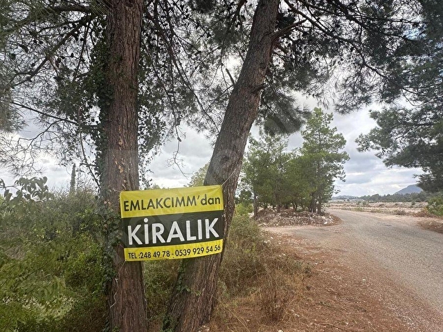 Konyaaltı Aşağıkaraman Kiralık