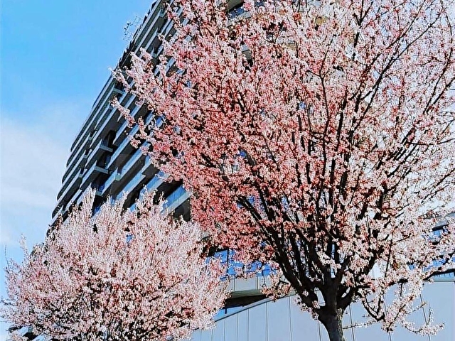 Maidan İş ve Yaşam Merkezinde Satılık 152 Net M² Yapılı Ofis - Görsel 14