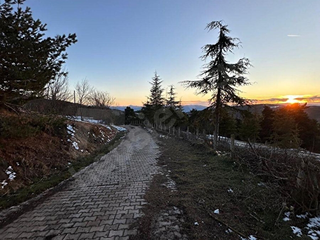 TOKAT NİKSAR ÇAMİÇİ YAYLASINA 3KM UZAKLIK DA SATILIK FIRSAT ARSA - Görsel 4