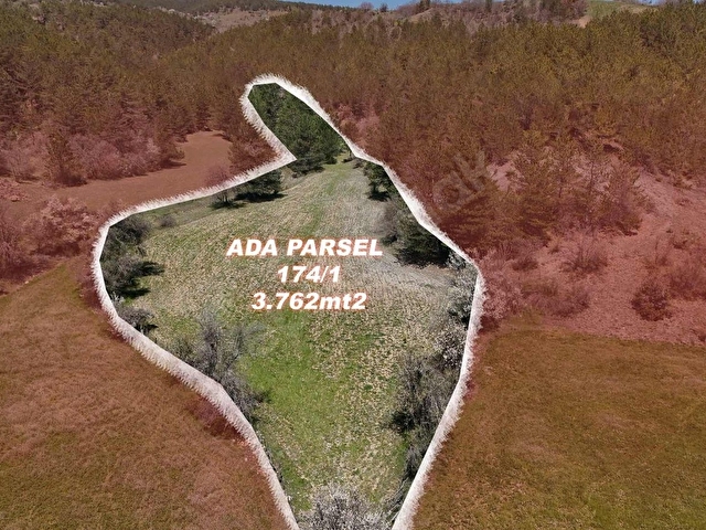 DOĞAYLA İÇ İÇE HUZURUN NOKTASI - Görsel 5