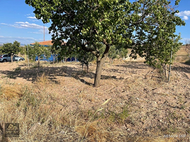 NEVŞEHİR AVANOS GÖYNÜKTE 11,729M²SATILIK BAKIMLI EVLİ BAĞ - Görsel 12