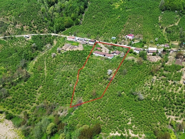 CUMAYERİNDE MÜSTAKİL EVLİ AHIRLI HAZIR KURULU ÇİFTLİK - Görsel 30