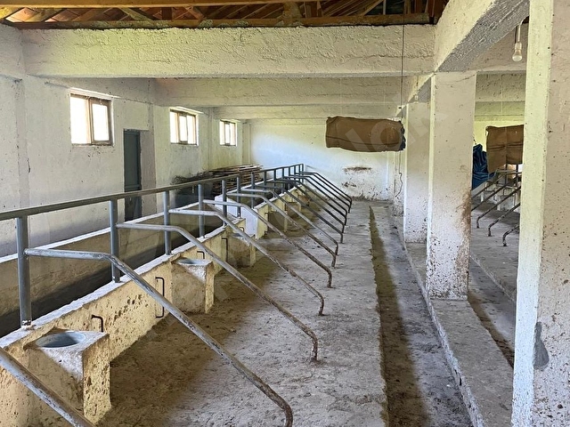 CUMAYERİNDE MÜSTAKİL EVLİ AHIRLI HAZIR KURULU ÇİFTLİK - Görsel 7