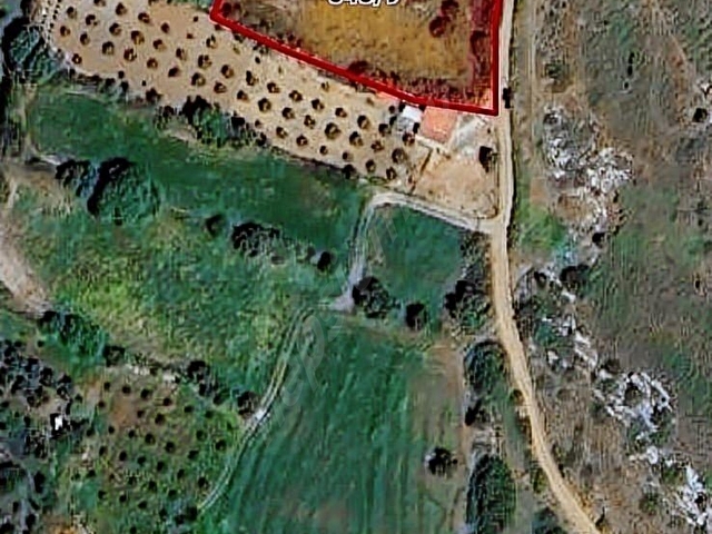Tatil Cenneti Bozcaada da Satılık Arazi/Bağ/Tarla - Görsel 2