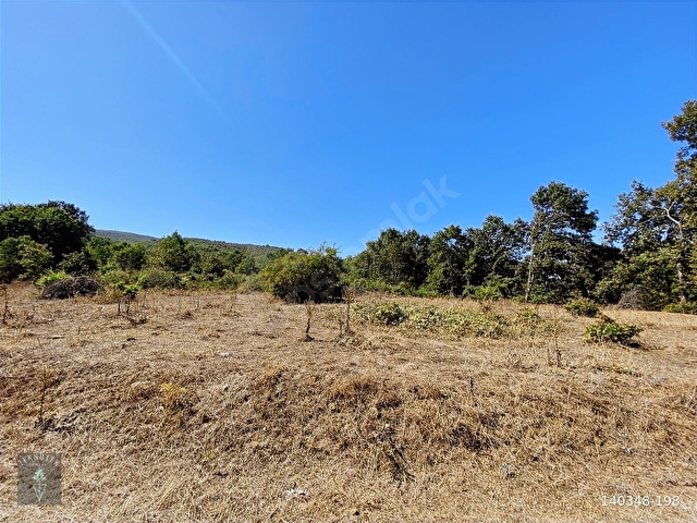 FIRANLAR KÖYÜNDE 5.320 m2 TARLA FIRSATI - Görsel 4