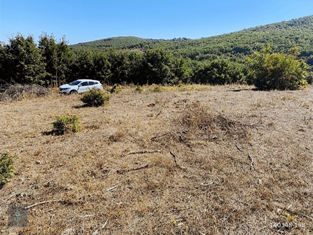 FIRANLAR KÖYÜNDE 5.320 m2 TARLA FIRSATI - Görsel 3