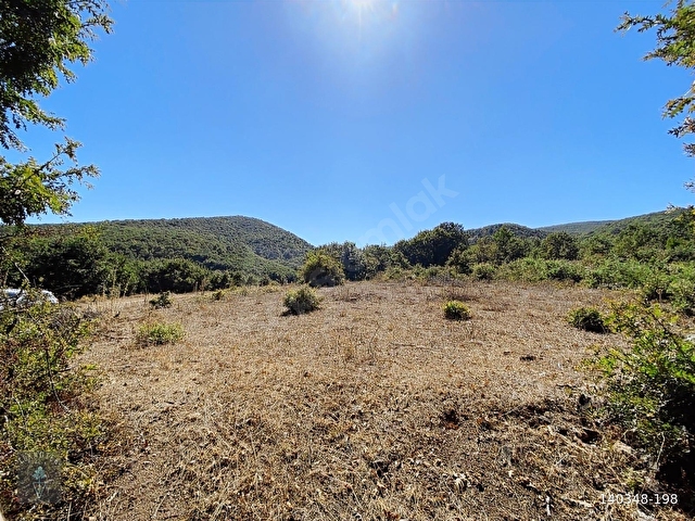 FIRANLAR KÖYÜNDE 5.320 m2 TARLA FIRSATI - Görsel 6