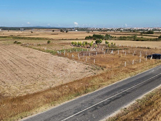 Tekirdağ Saray Yenimahallede imara yakın - Görsel 4