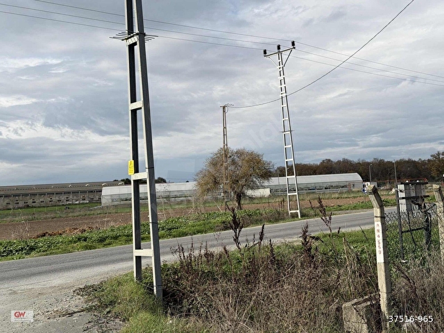 İSTANBUL SİLİVRİ BEKİRLİDE 15500 m2 ACİL SATILIK TARLA ÇİFTLİK - Görsel 12
