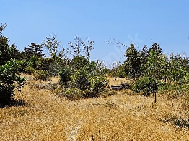 SAKARYA TARAKLI MERKEZ İMARA 200 MT. 15 DÖNÜM BAHÇE VE EV - Görsel 6