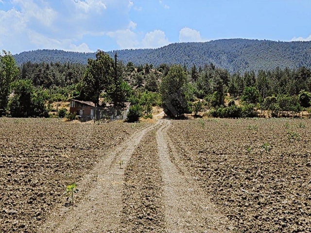 SAKARYA TARAKLI MERKEZ İMARA 200 MT. 15 DÖNÜM BAHÇE VE EV - Görsel 12