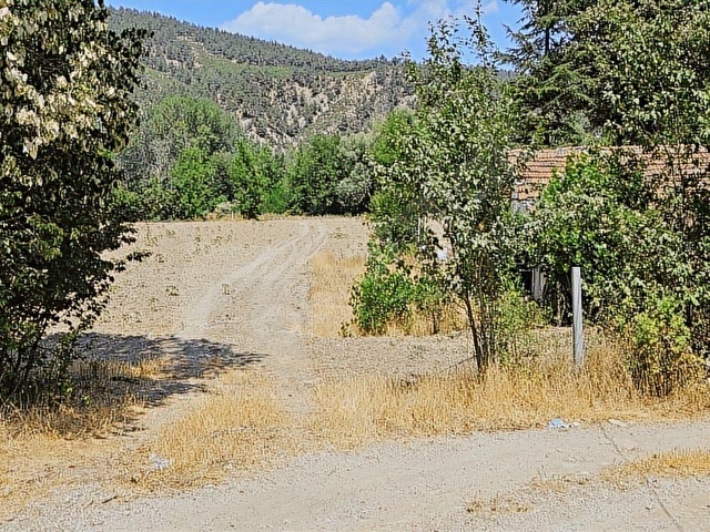 SAKARYA TARAKLI MERKEZ İMARA 200 MT. 15 DÖNÜM BAHÇE VE EV - Görsel 7