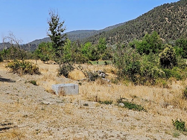 SAKARYA TARAKLI MERKEZ İMARA 200 MT. 15 DÖNÜM BAHÇE VE EV - Görsel 4