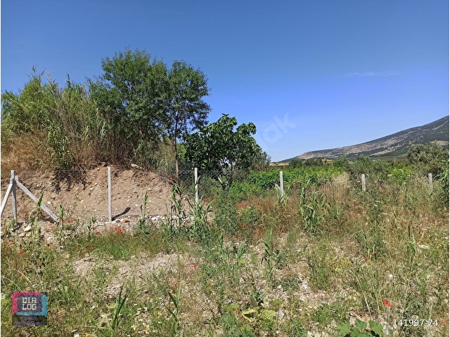 Manisa Şehzadeler Sancaklı İğdecikte 742,43 m2 Tapulu Bağ Tarla - Görsel 6
