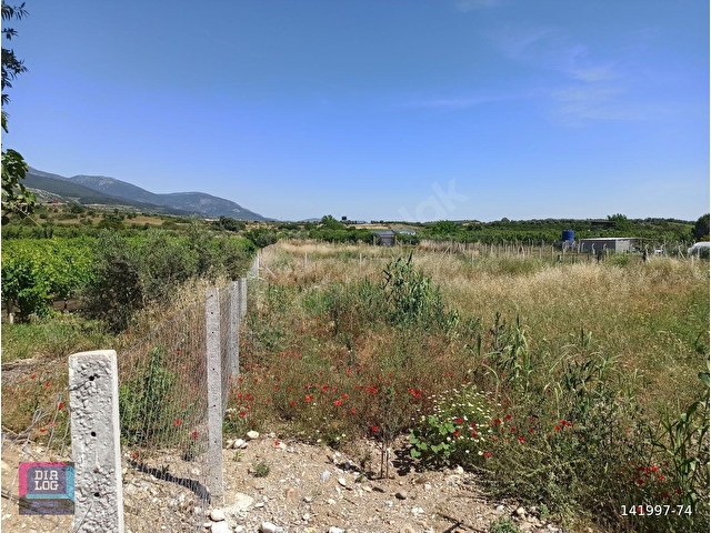 Manisa Şehzadeler Sancaklı İğdecikte 742,43 m2 Tapulu Bağ Tarla - Görsel 2