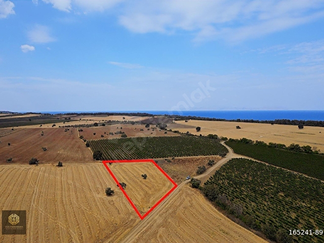 EGE PANORAMA DAN TAŞ EV YAPIMINA UYGUN ÇİFTLİK ARAZİSİ - Görsel 4
