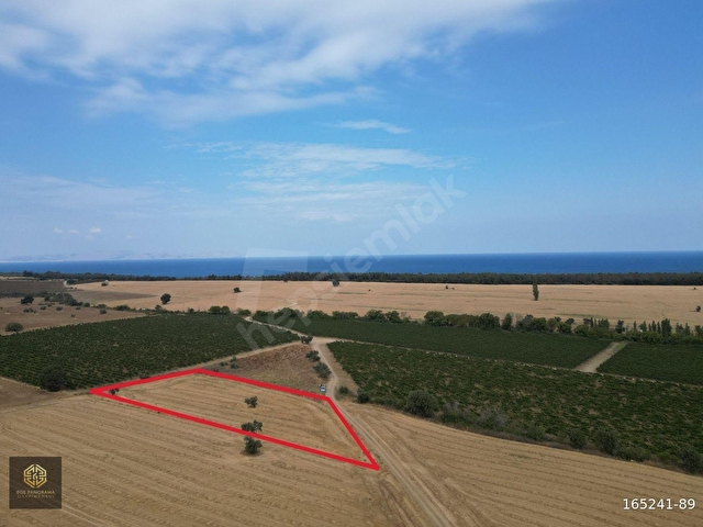 EGE PANORAMA DAN TAŞ EV YAPIMINA UYGUN ÇİFTLİK ARAZİSİ - Görsel 3