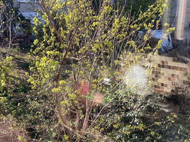 Çengelköy’de Şehrin Merkezin’de Satılık Bina - Görsel 3