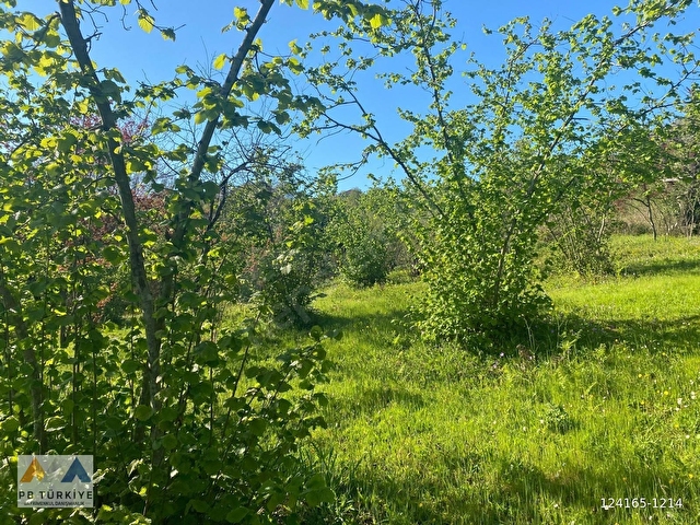 Beykoz Örnekköy Satılık %20 Villa İmarlı 2163m2 Arsa+Bina - Görsel 28