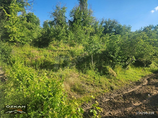 KAVAKLIDERE MENTEŞE MAHALLESİNDE 1281M2 SATILIK CEVİZ BAHÇESİ - Görsel 22