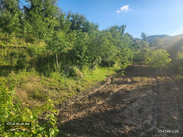 KAVAKLIDERE MENTEŞE MAHALLESİNDE 1281M2 SATILIK CEVİZ BAHÇESİ - Görsel 18