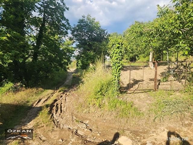 KAVAKLIDERE MENTEŞE MAHALLESİNDE 1281M2 SATILIK CEVİZ BAHÇESİ - Görsel 2