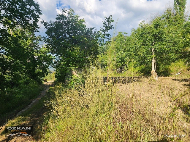 KAVAKLIDERE MENTEŞE MAHALLESİNDE 1281M2 SATILIK CEVİZ BAHÇESİ - Görsel 6