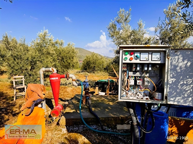 Salihli İğdecikte Satılık 13031 M2 Zeytinlik (Elektrik-Su-Ev) - Görsel 28